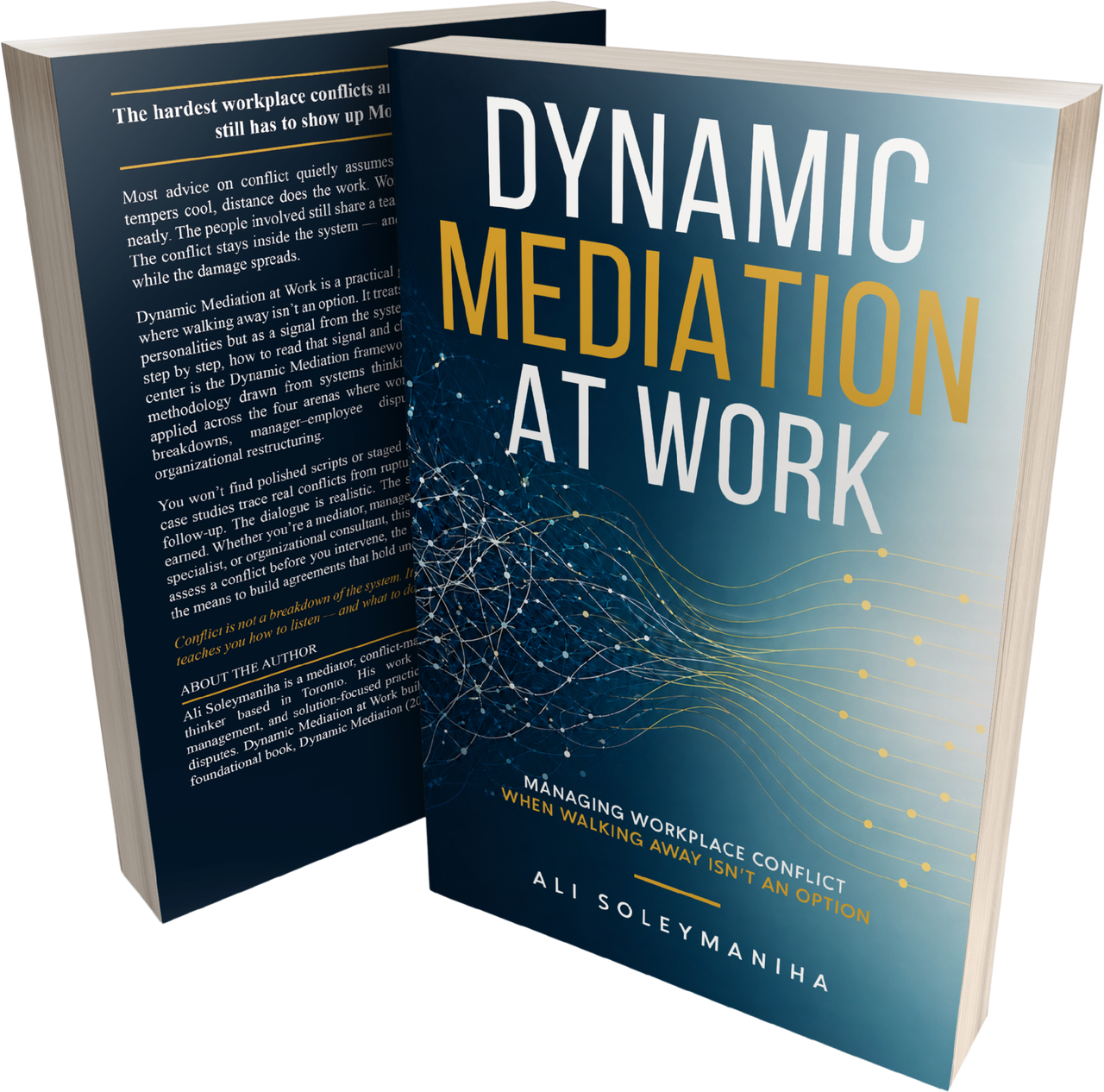 Dynamic Mediation at Work book