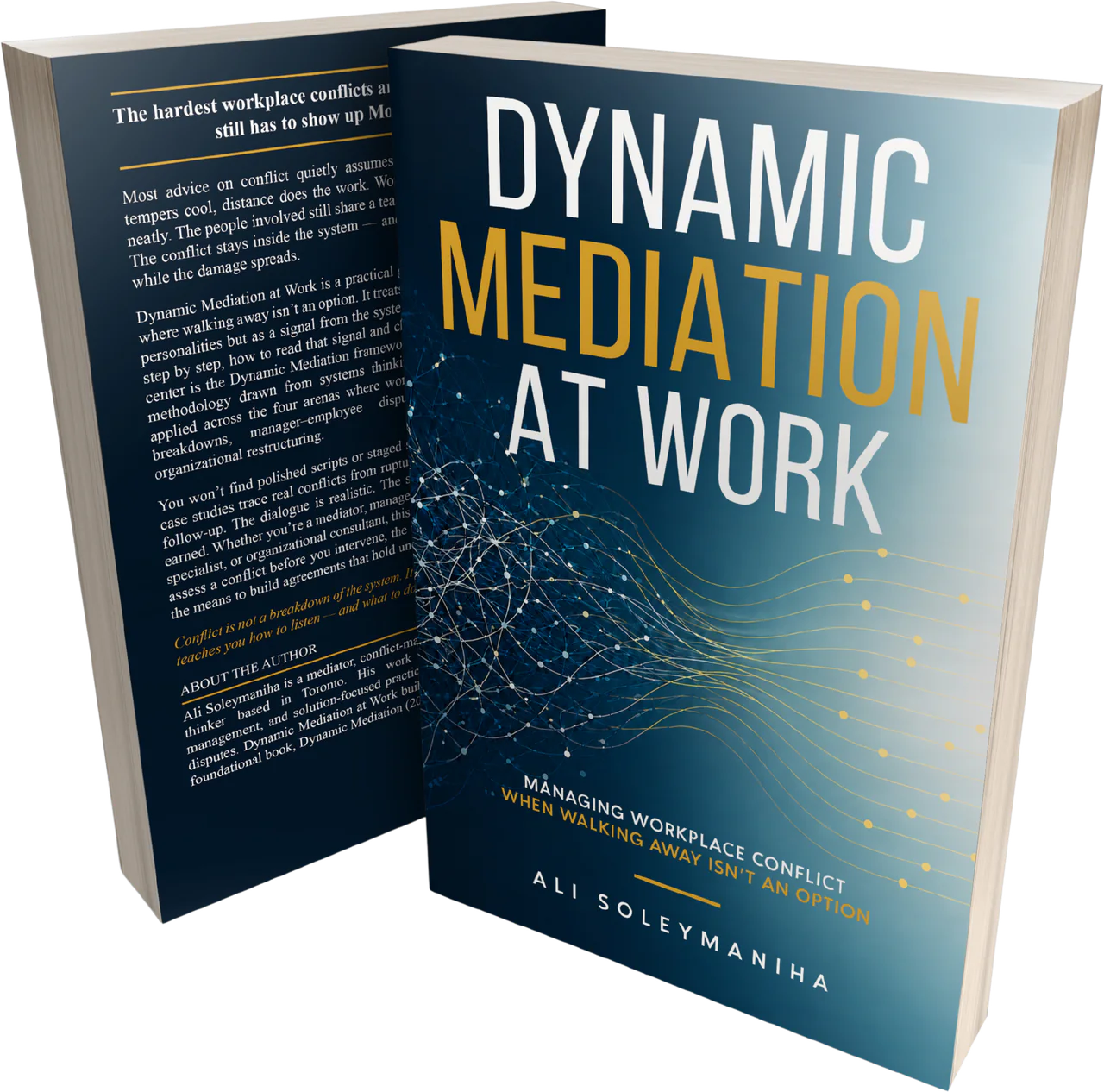 Dynamic Mediation at Work book